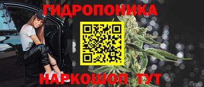 Альфа ПВП Пугачёв